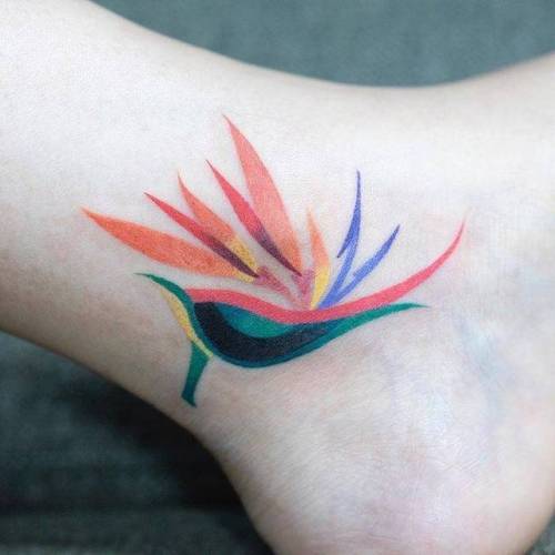 By Zihee, done in Seoul. http://ttoo.co/p/104182 flower;small;tiny;ankle;ifttt;little;zihee;nature;medium size;bird of paradise flower;illustrative