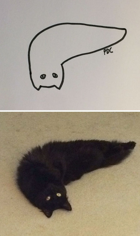 catsbeaversandducks:Super-realistic!By poorly drawn cats