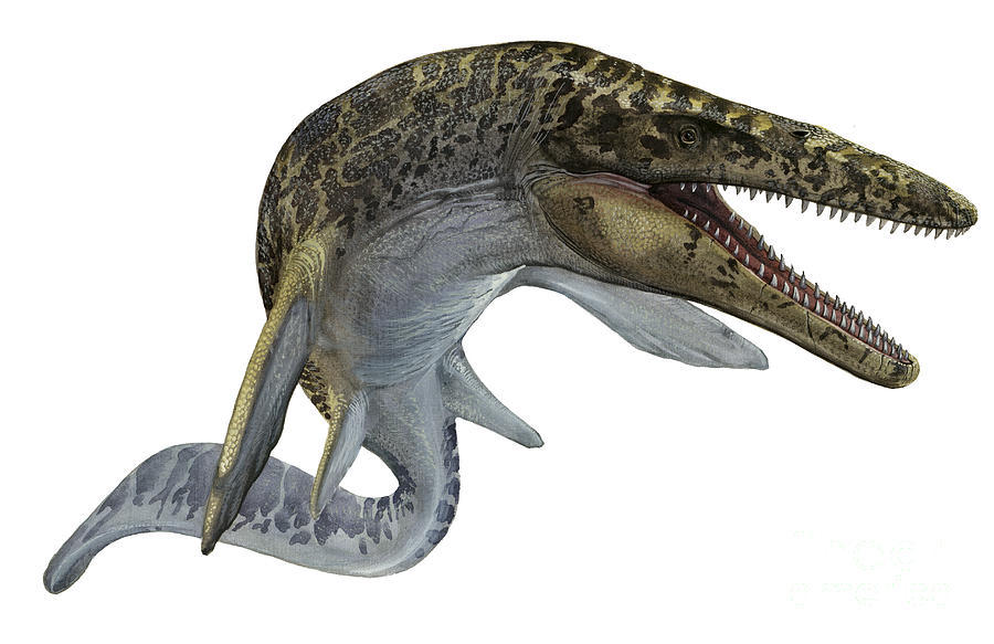 mosasaurus extinct