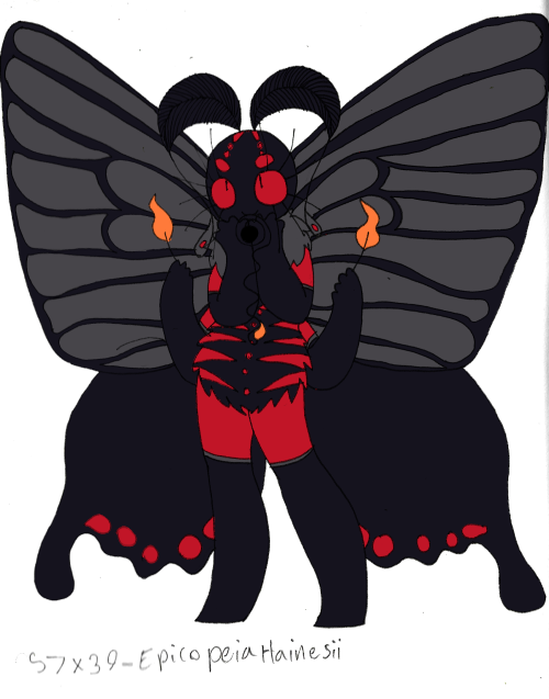 mothgallery
