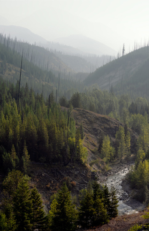 nealmcclure:hazy day.