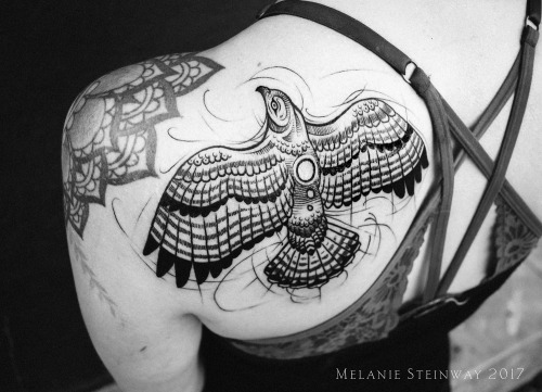 53 Free Download Tattoo Art Hawks Idea Tattoo Photos