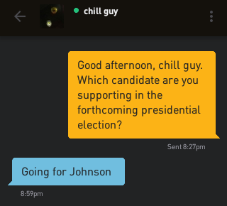 Me: Good afternoon, chill guy. Which candidate are you supporting in the forthcoming presidential election? chill guy: Going for Johnson