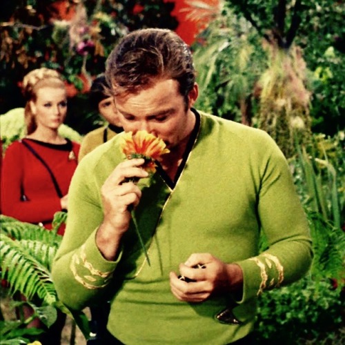 shatnerfetish:Shatner in Star Trek: The Apple