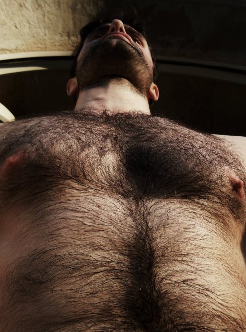 Hairy Man Eye Candy