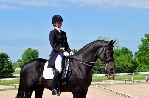 deadinsidedressage:hyperbemily:all-the-horses: GKB Coal...