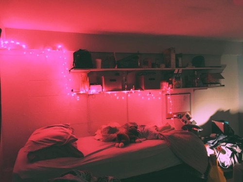 Pink String Lights Tumblr