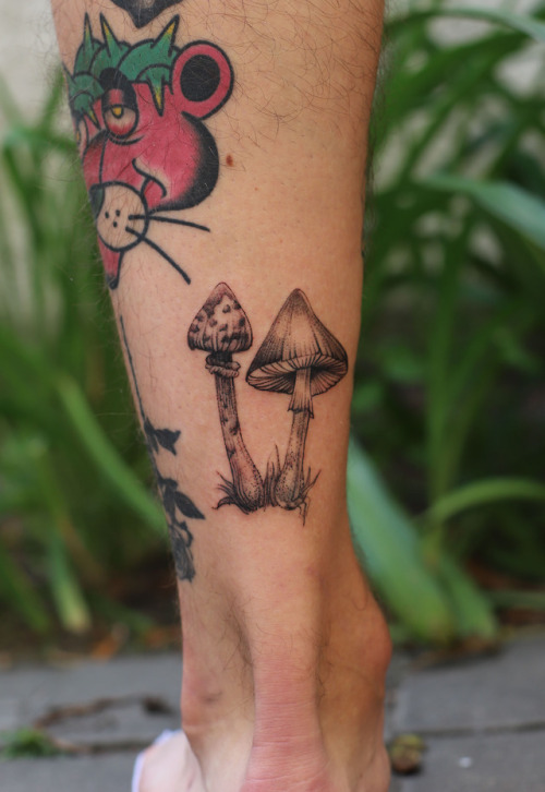Mushrooms Tattoo Explore Tumblr Posts And Blogs Tumgir