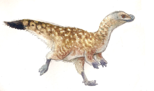saturnalia dinosaur saturnalia dinosaur