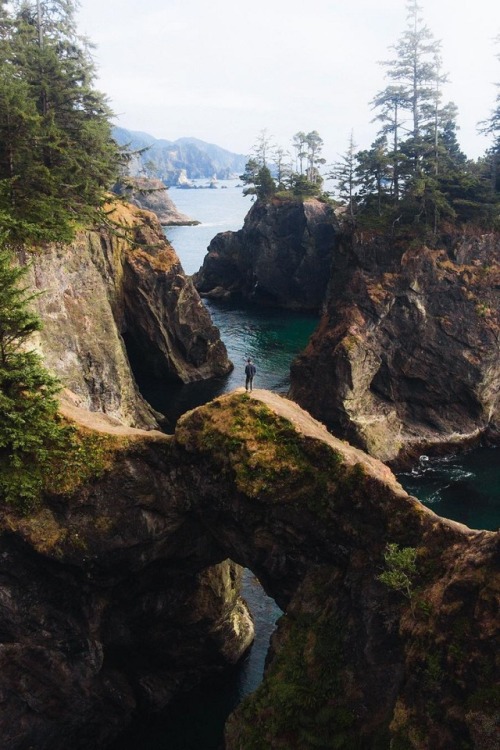 alecsgrg:Oregon coast | ( by Dylan Kato )