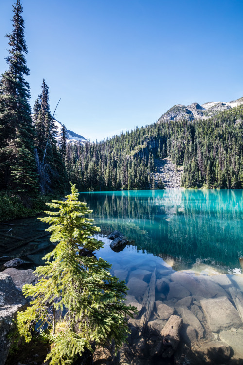 toofarnorth:Early reflection on Middle Joffre Lake. Enjoyed the...