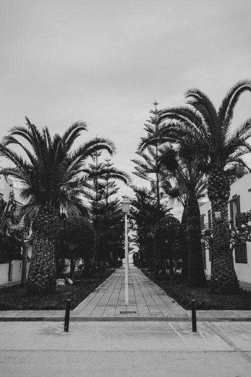 outelena