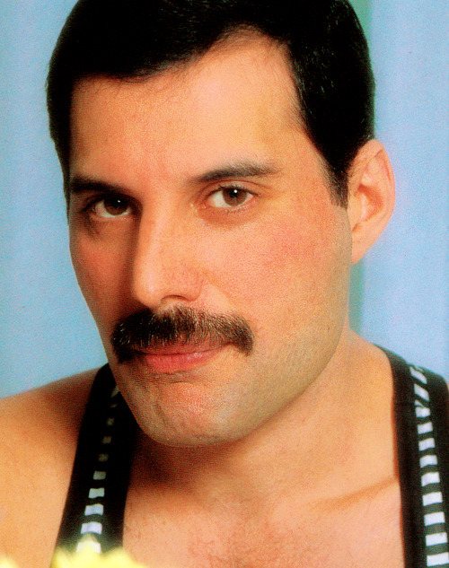 Moustache Freddie™ - Freddie Mercury