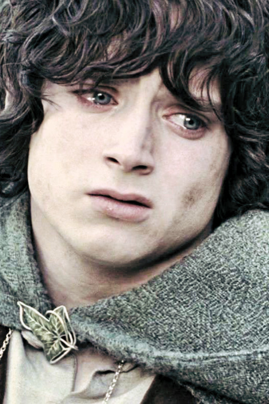 Lord Of The Rings Character Progression Frodo No Taste Of