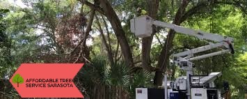 Tree Service Sarasota LLC