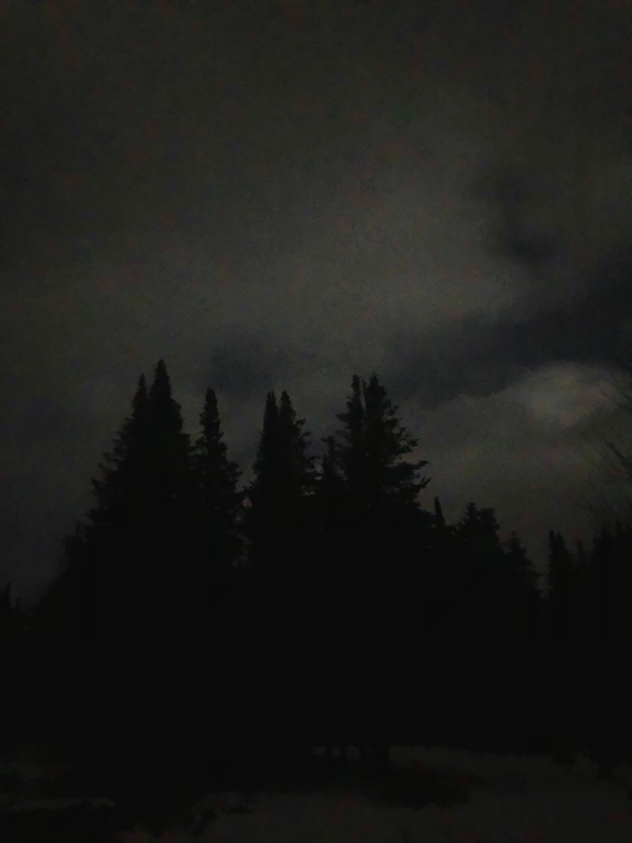 Crooked Path to Bodhi â Eve s ingestion of the forbidden Crooked Path to Bodhi â Eve s ingestion of the forbidden