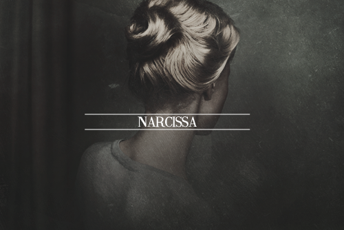 nxrcissa-malfoy:The Black Sisters.