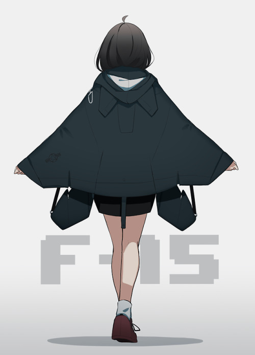 famysiraso:F-15　ｗ/dual wing bag  poncho!