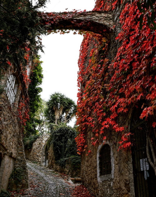 visitheworld:Bussana Vecchia / Italy (byPier Luigi De...