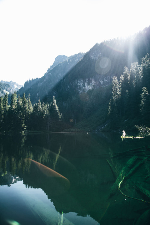 hannahkemp:Dreamy Bright Days//Washington June...