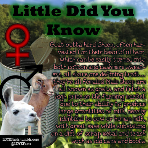 ldykfacts