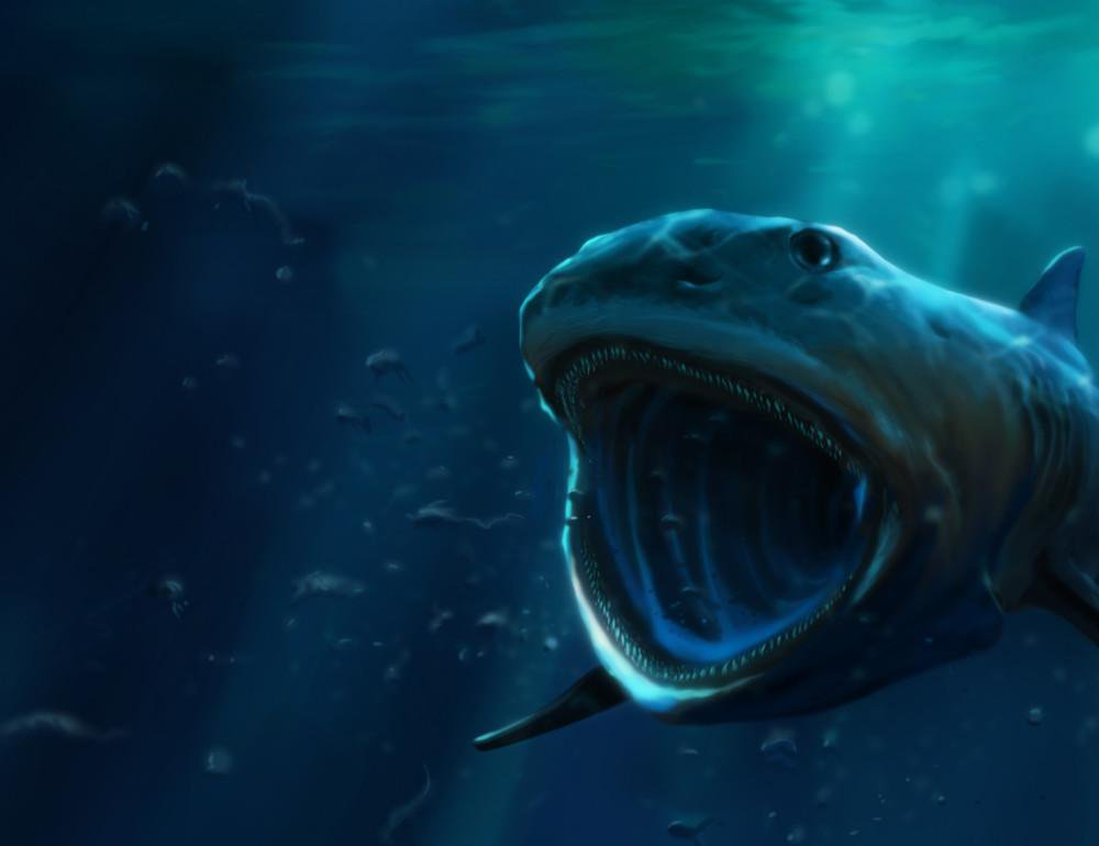 Shark Fact of the Day — Pseudomegachasma, a big-mouthed prehistoric ...