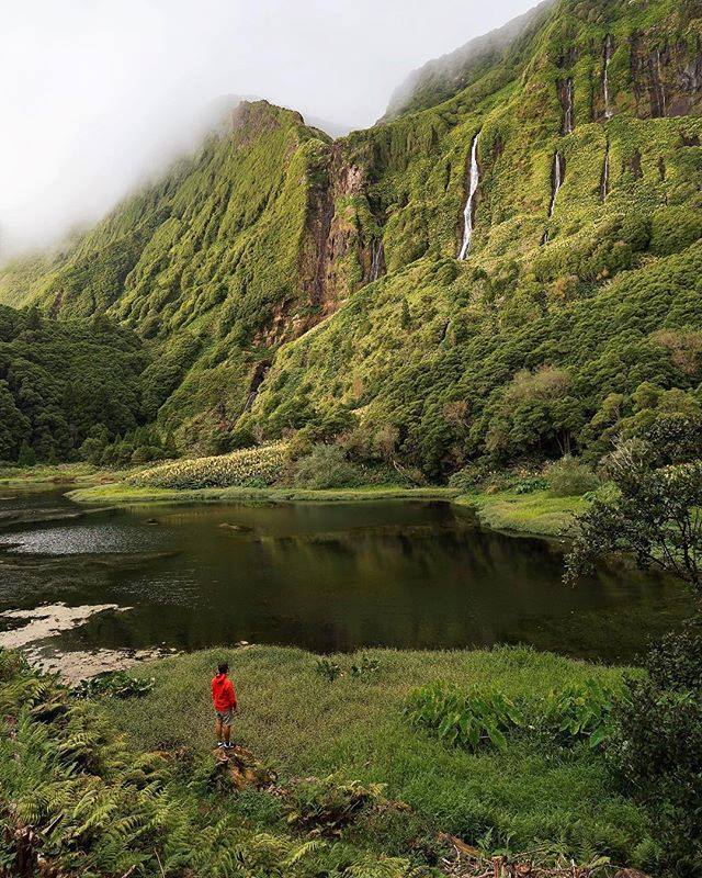 Adventurous Life — Jurassic park vibes 🌿 [[MORE]] 🌏 Azores - 📸...