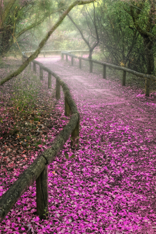 wonderous-world:Andalusia, Spain by Zú Sánchez