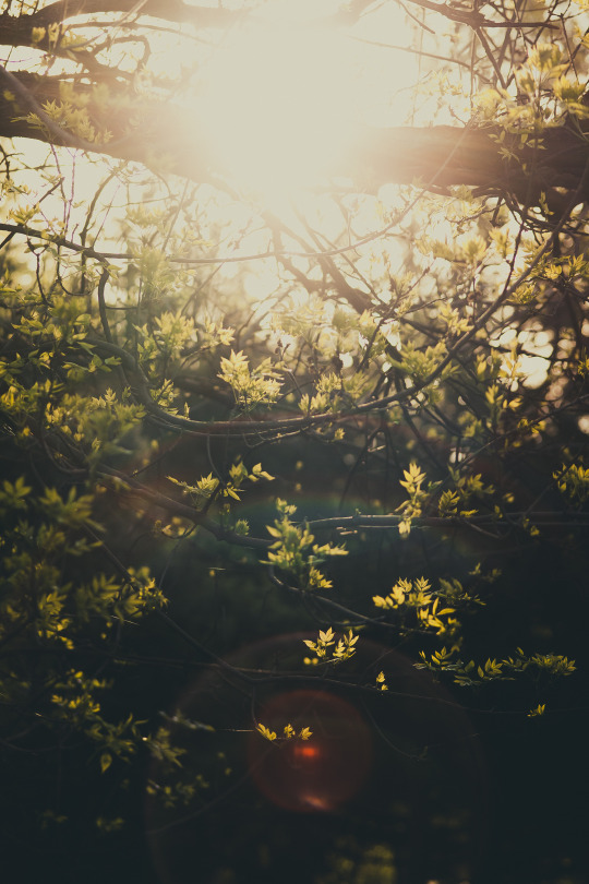 the life I fled from… the grip I loosened