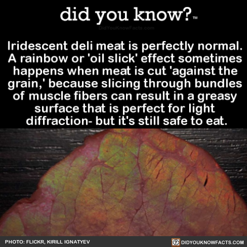 iridescent-deli-meat-is-perfectly-normal-a