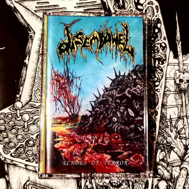 maggot stomp maggot stomp