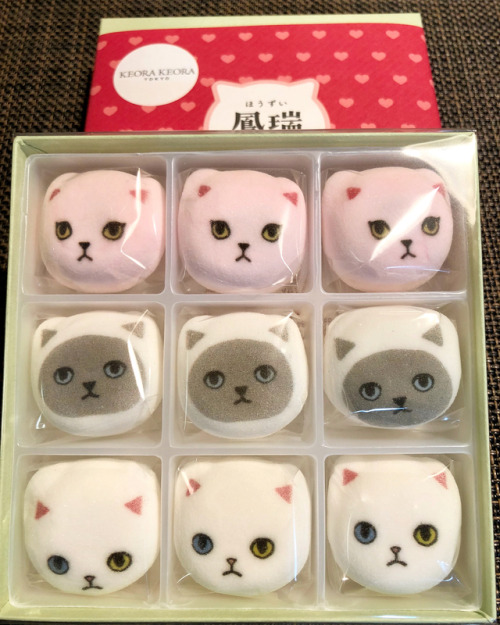mochi food sweets desserts