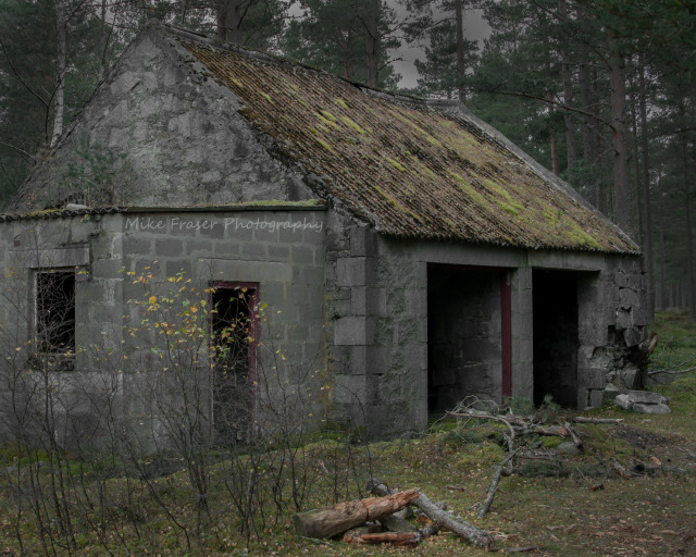 abandoned archive abandoned archive