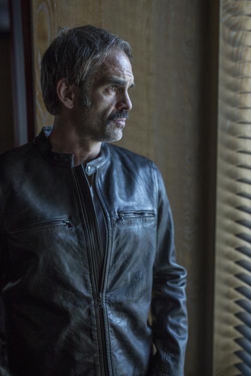 steven ogg law and order