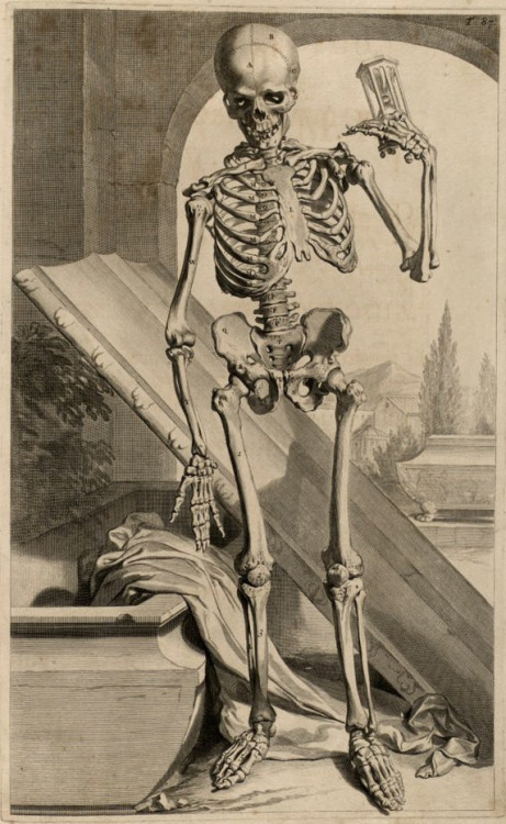 deathandmysticism:Skeleton Arising from a Tomb, Anatomia...