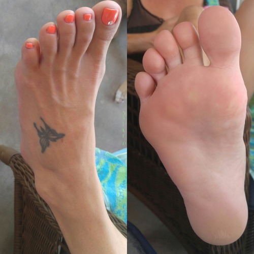 nikikittenniki:My super cute perfectly shaped hotwife feet a...