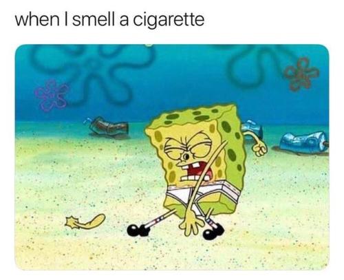 melonmemes:Hmm Gas smells better