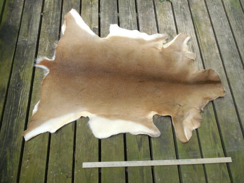 sleepycreekcrafts:I use to tan so many deer hides! I feel like...