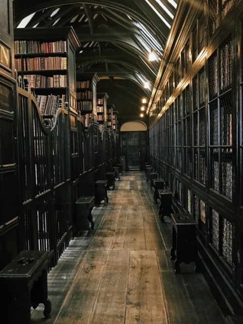 old library on Tumblr