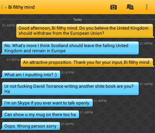 Me: Good afternoon, Bi filthy mind. Do you believe the United Kingdom should withdraw from the European Union?
Bi filthy mind: No. What's more I think Scotland should leave the failing United Kingdom and remain in Europe
Me: An attractive proposition. Thank you for your input, Bi filthy mind.
Bi filthy mind: What am I inputting into? :)
Bi filthy mind: Ur not fucking David Torrance writing another shite book are you? Ha
Bi filthy mind: I'm on Skype if you ever want to talk openly
Bi filthy mind: Can show u my mug on there too ha
Bi filthy mind: Oops. Wrong person sorry