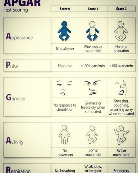 apgar score apgar score