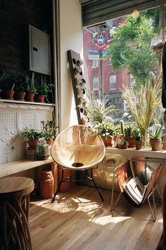 urban-jungle-interior-design