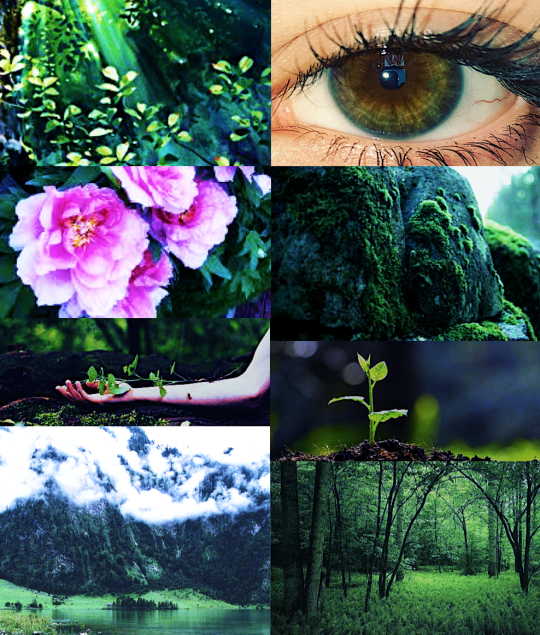 earth element on Tumblr