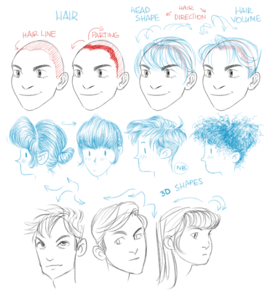 I can’t seem to be able to draw bangs/fringes… pls halp! – littleprongs