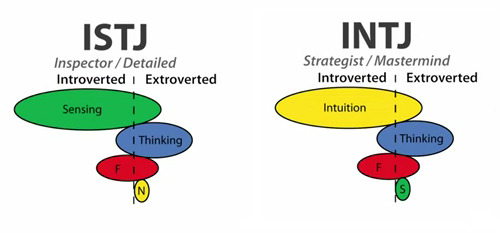 intj-confessions-intuitive-vs-sensing