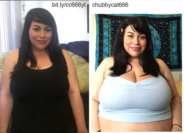 Fantastic Bellies And Where To Find Them Chubbycat666 Bigger And C