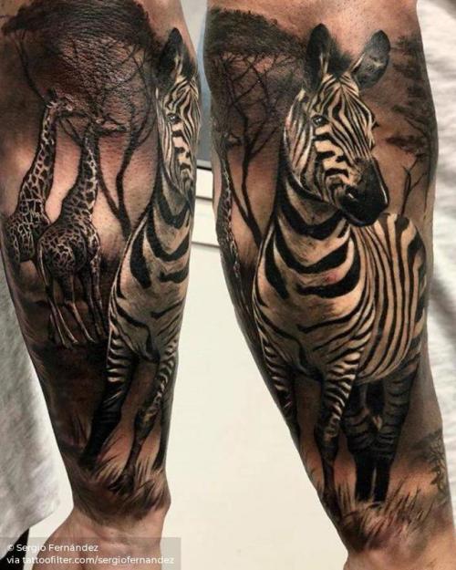 By Sergio Fernández, done at Seven Tattoo, Malaga.... black and grey;big;animal;sergiofernandez;facebook;forearm;twitter;zebra