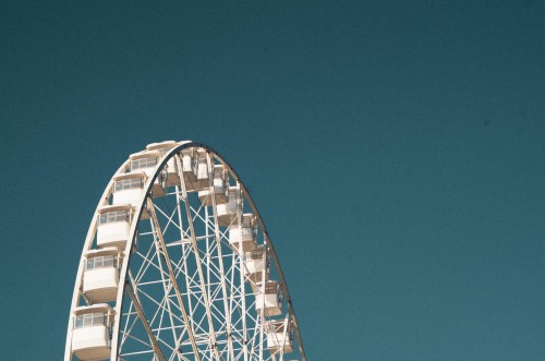 aesthetic-snail