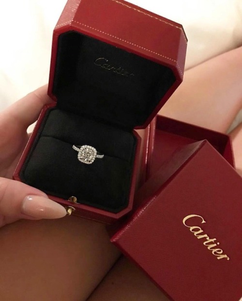 satansbby Cartier goals want expensive classy chic luxury glamour xoxo need luxurious glam glamorous jewelry