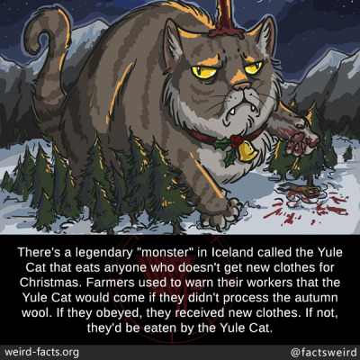 Image result for Yule Cat images